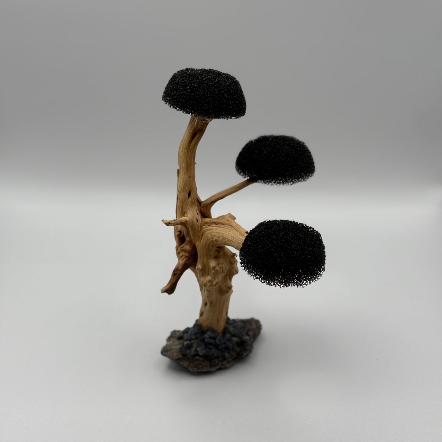 Aquascaping Moosbaum – Treibholz-Deko mit 3 Kronen (Höhe ca. 16–18 cm)
