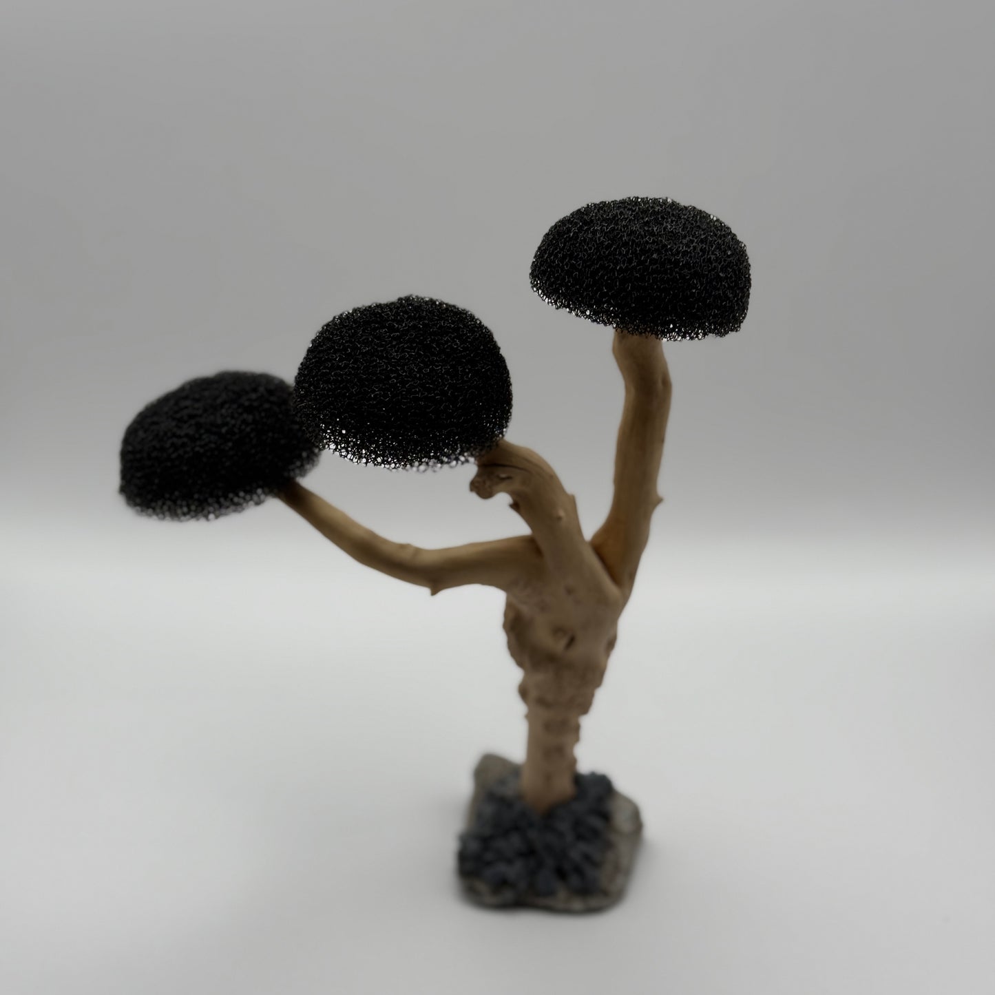 Aquascaping Moosbaum – Treibholz-Deko mit 3 Kronen (Höhe ca. 16–18 cm)