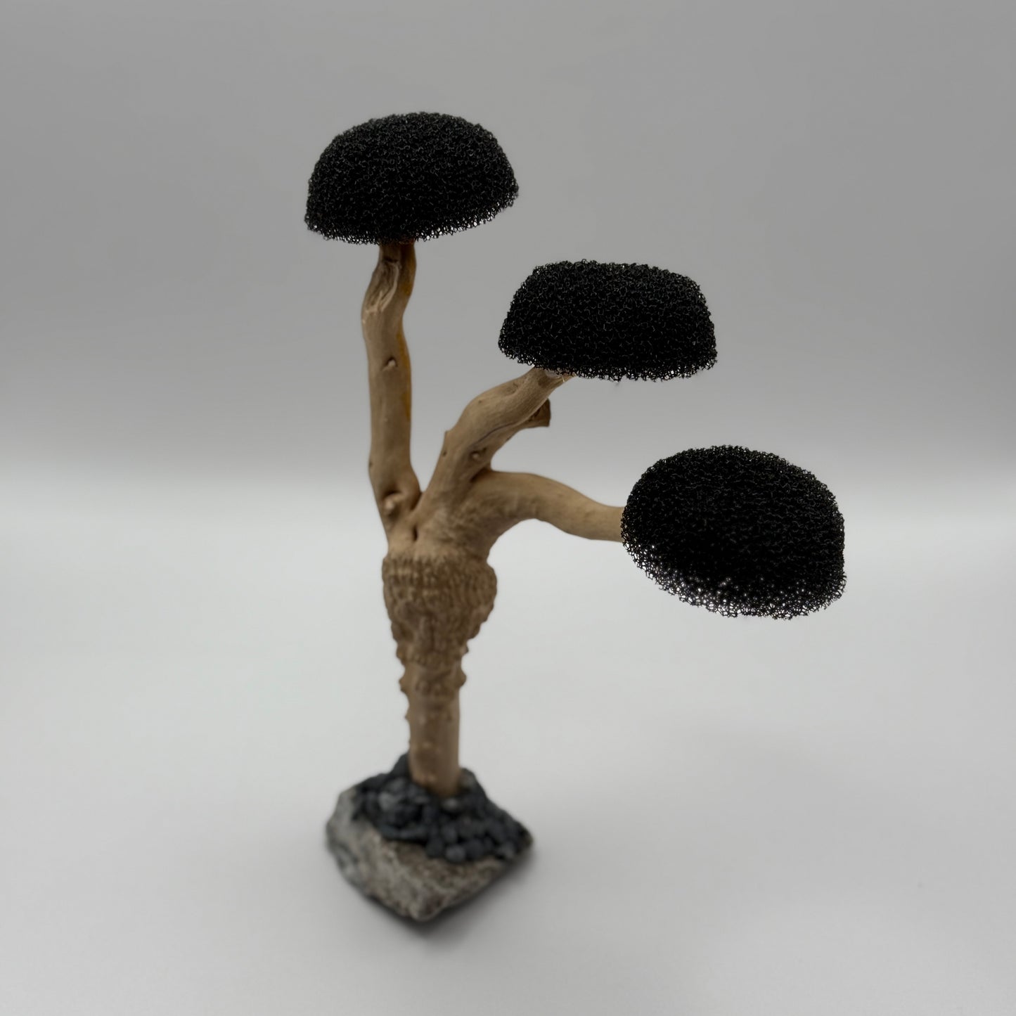 Aquascaping Moosbaum – Treibholz-Deko mit 3 Kronen (Höhe ca. 16–18 cm)