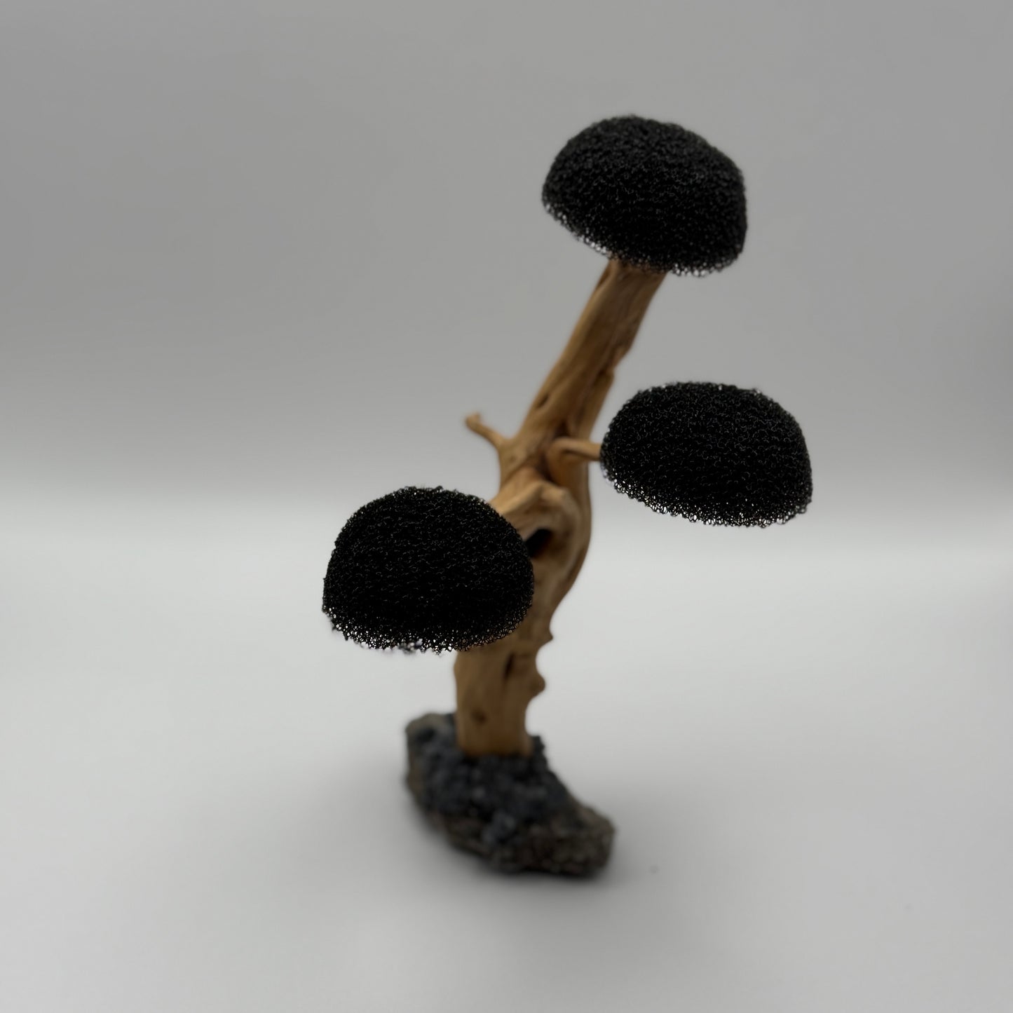 Aquascaping Moosbaum – Treibholz-Deko mit 3 Kronen (Höhe ca. 16–18 cm)
