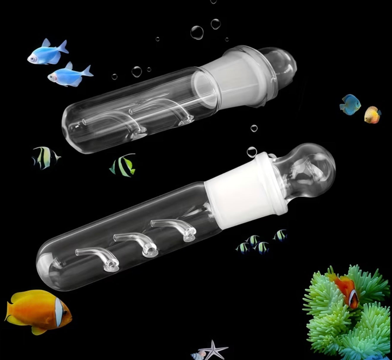 Borstenwurm- & Planarienfalle aus Glas - Meerwasser/Süßwasser Aquarium