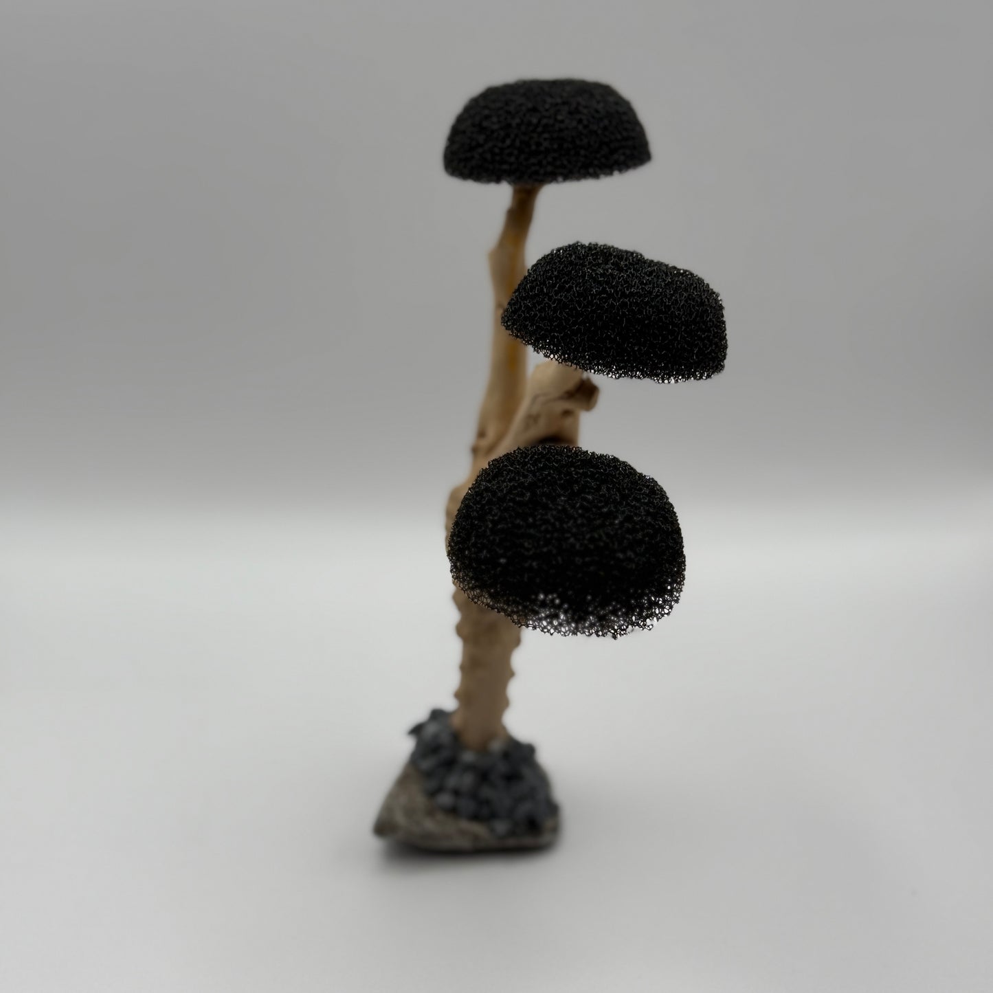 Aquascaping Moosbaum – Treibholz-Deko mit 3 Kronen (Höhe ca. 16–18 cm)