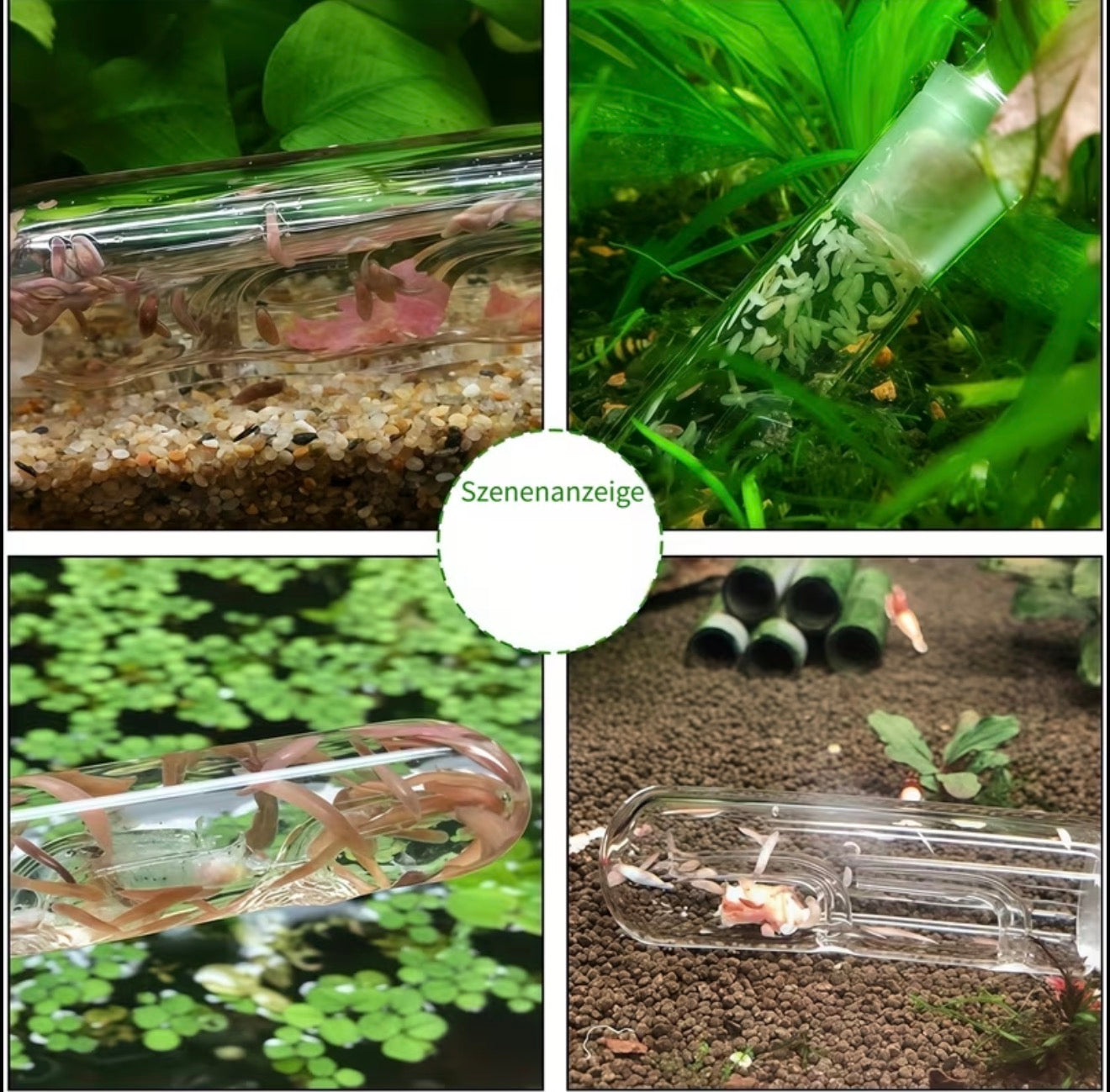 Borstenwurm- & Planarienfalle aus Glas - Meerwasser/Süßwasser Aquarium