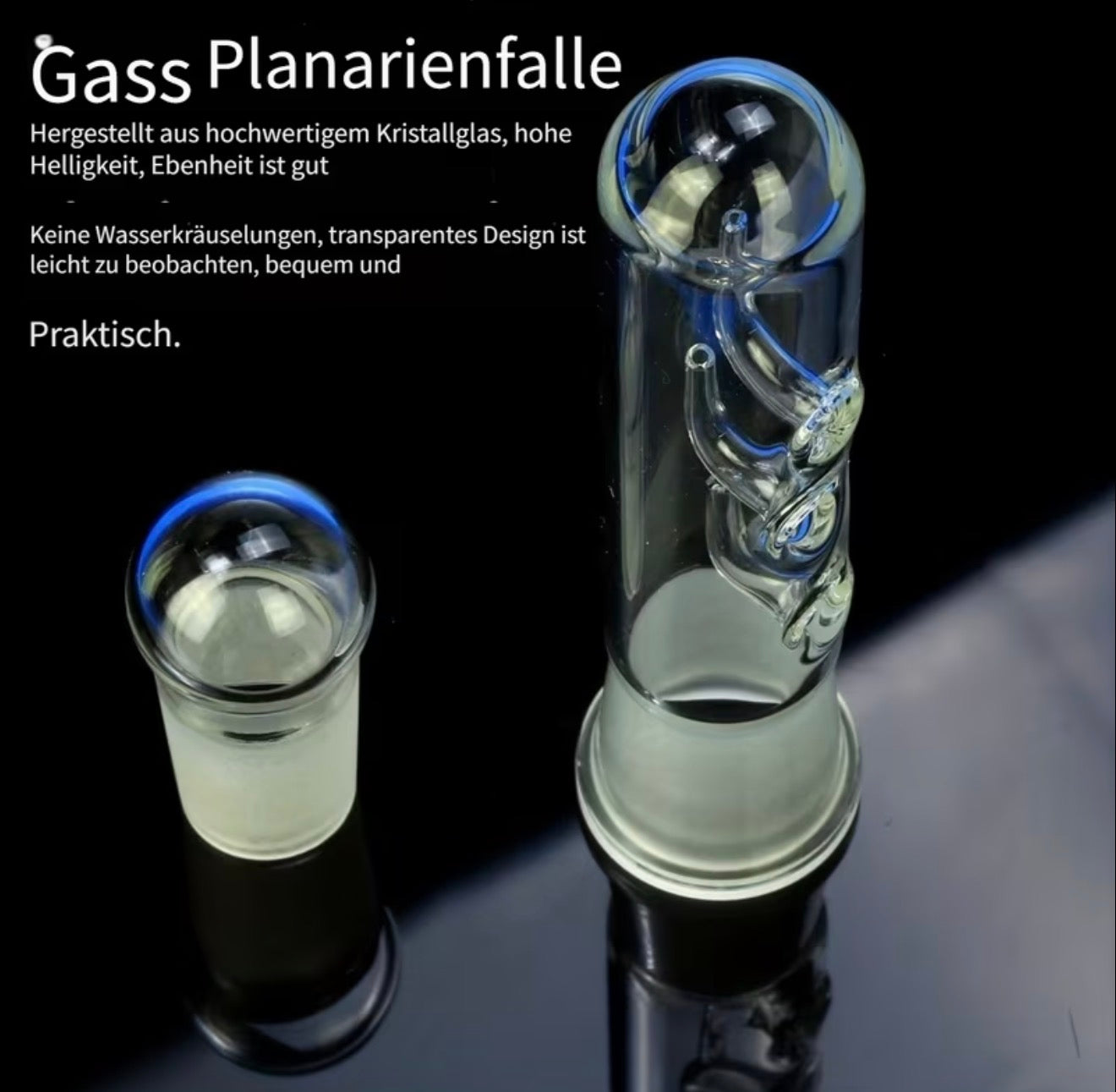 Borstenwurm- & Planarienfalle aus Glas - Meerwasser/Süßwasser Aquarium