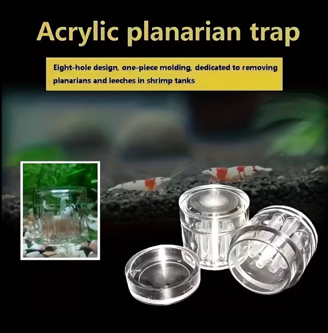 Hochwertige & effektive Planarien- & Wurm-Falle fürs Aquarium (8-Loch-Design) (OHNE CHEMIE)